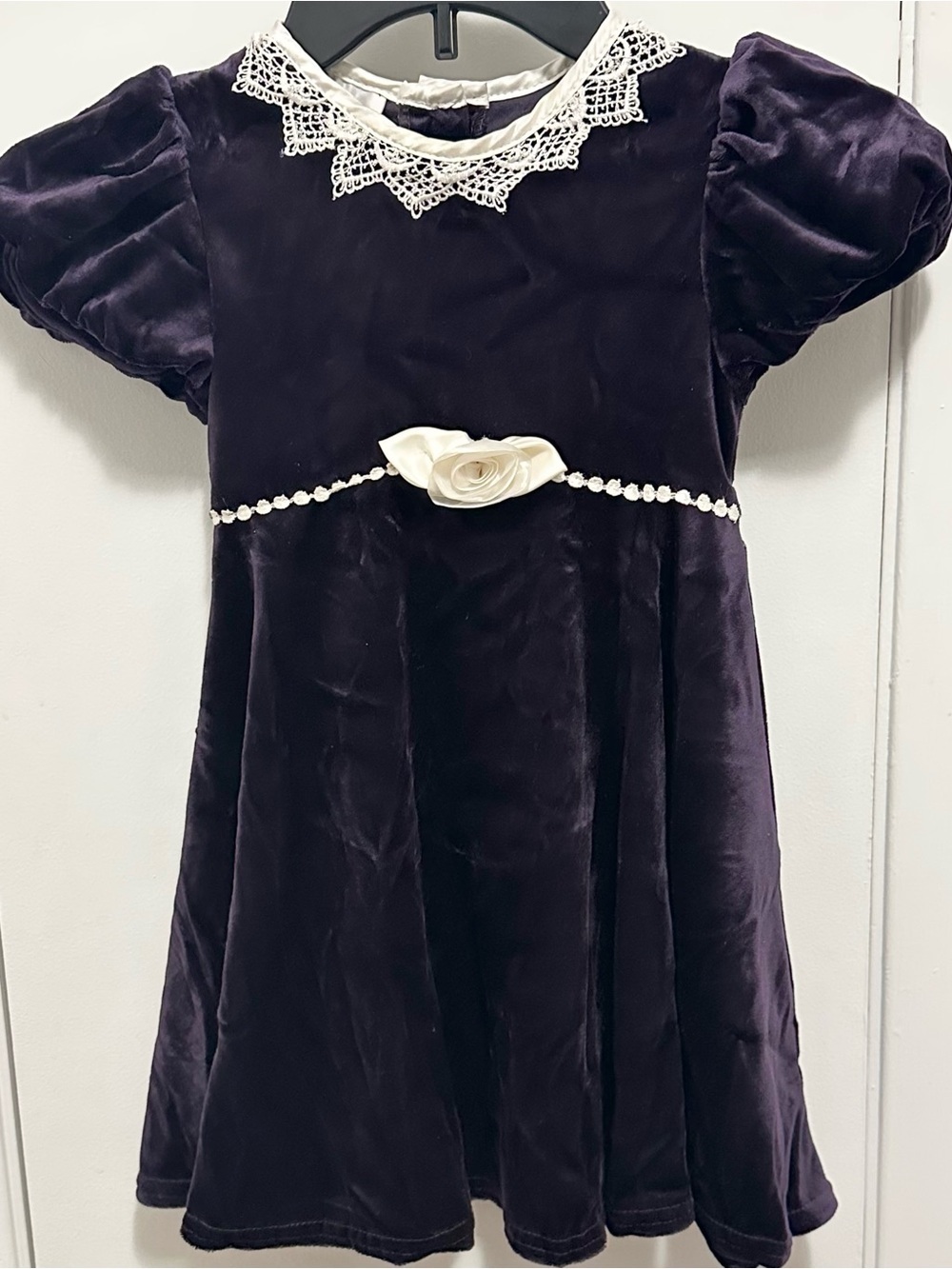 Vintage Youngland Dark Purple & Ivory Lace Rose Velvet Victorian Girls Dress 4